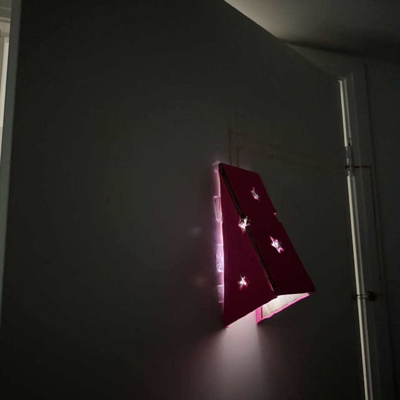 Door Light Circuit angle 5 light on